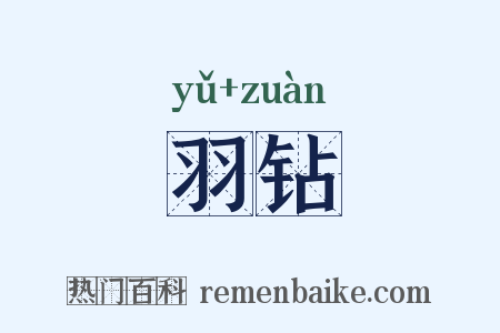 羽钻是什么意思的图片